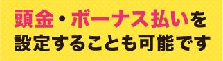 頭金・ボーナス払いを設定することも可能です